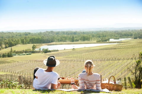 Audrey Wilkinson Vineyard - VIC Tourism 0