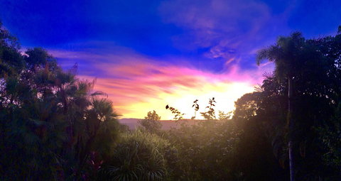 Daintree Manor B&B - VIC Tourism 3