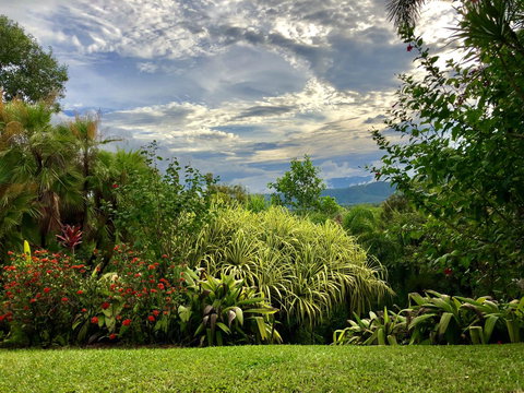 Daintree Manor B&B - VIC Tourism 2