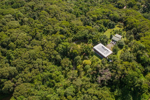 Daintree Manor B&B - VIC Tourism 14