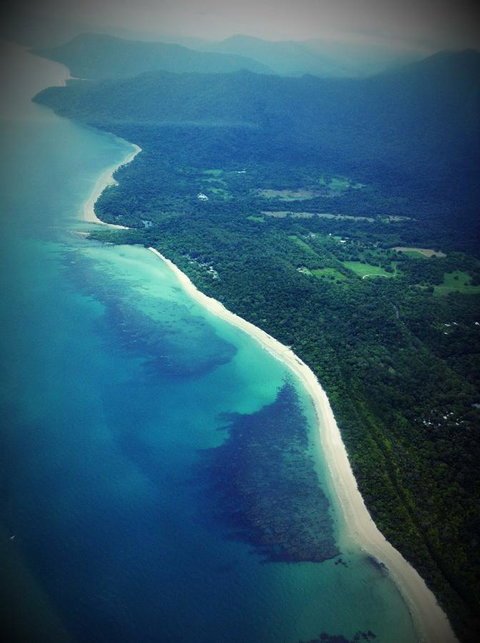 Daintree Manor B&B - VIC Tourism 11