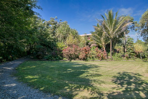 Daintree Manor B&B - VIC Tourism 19