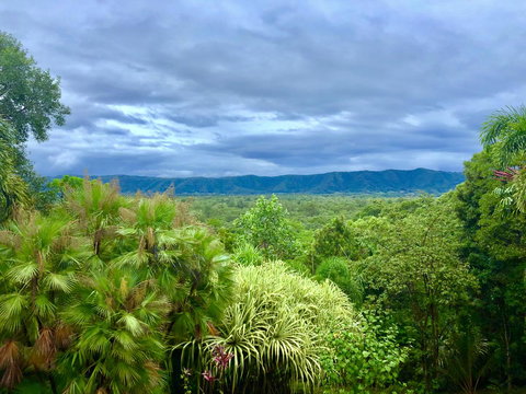 Daintree Manor B&B - VIC Tourism 0