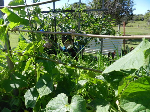 Hay Point Country BnB - VIC Tourism 17