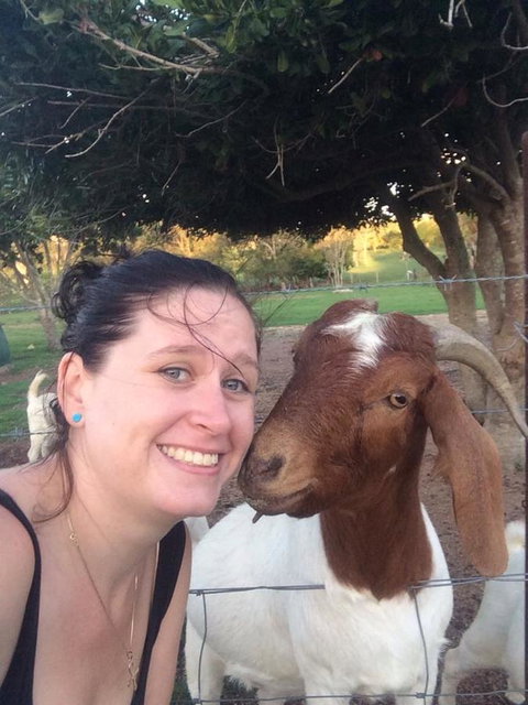 Hay Point Country BnB - VIC Tourism 13