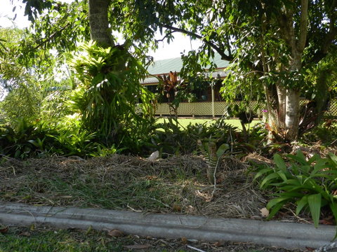 Hay Point Country BnB - VIC Tourism 23