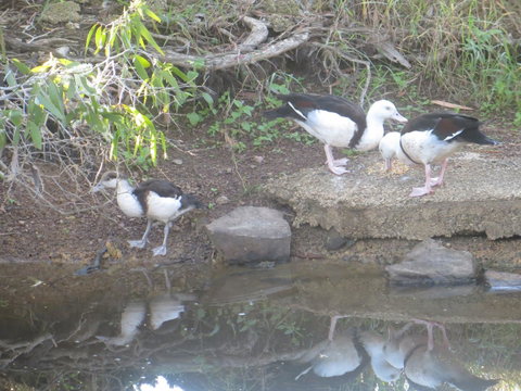 Hay Point Country BnB - VIC Tourism 22