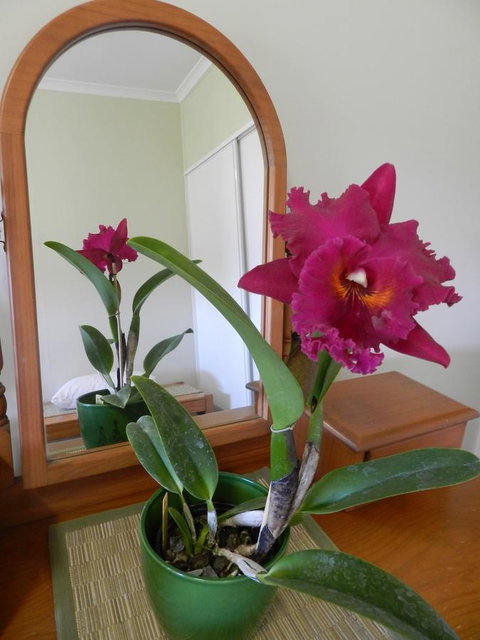 Hay Point Country BnB - VIC Tourism 10