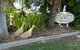 Hay Point Country BnB - thumb 21