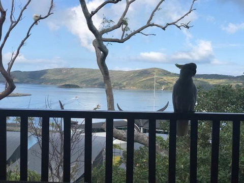 Casuarina Cove 18 - VIC Tourism 9