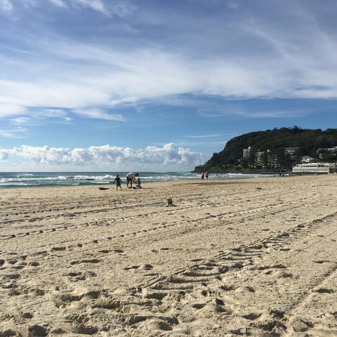 Burleigh Palms Holiday Apartments - VIC Tourism 14