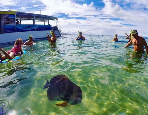 Magnetic Island Guest House - VIC Tourism 20
