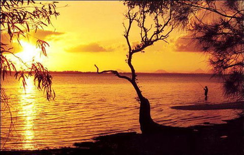 Waterfront At White Patch - VIC Tourism 23