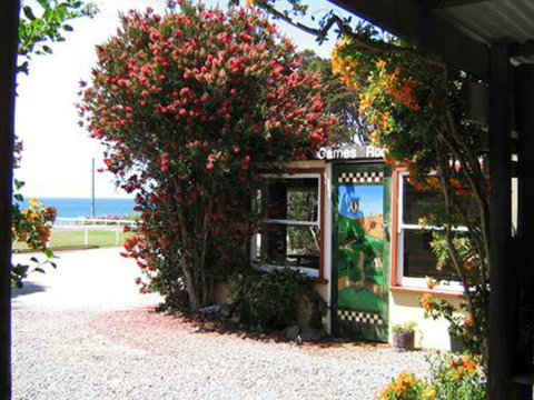 King Island Accommodation Cottages - VIC Tourism 11