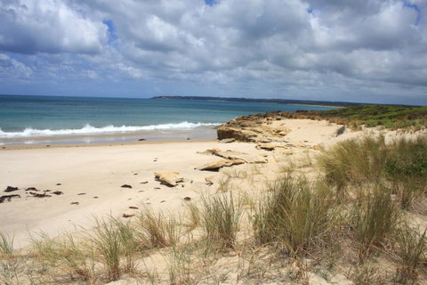 King Island Accommodation Cottages - VIC Tourism 21