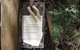 King Island Accommodation Cottages - thumb 42