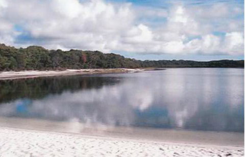 King Island Accommodation Cottages - VIC Tourism 17