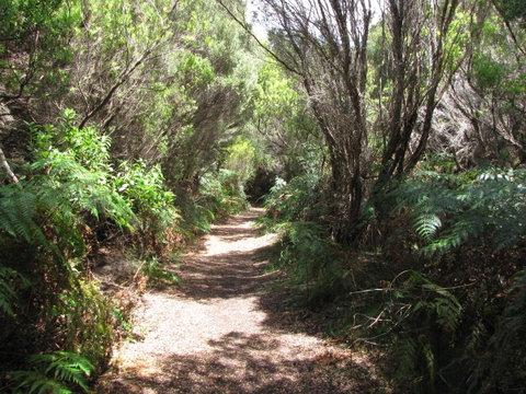 King Island Accommodation Cottages - VIC Tourism 12