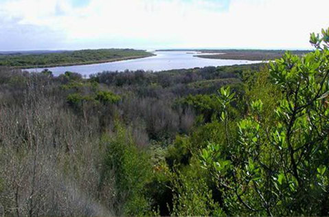 King Island Accommodation Cottages - VIC Tourism 20