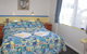 King Island Accommodation Cottages - thumb 7