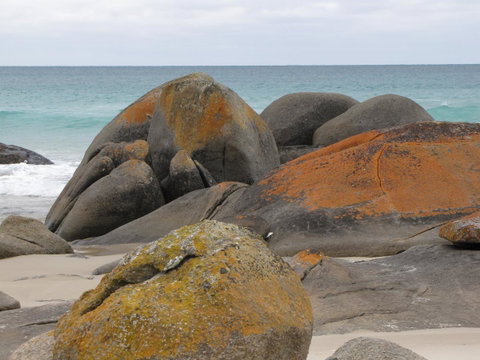 King Island Accommodation Cottages - VIC Tourism 40