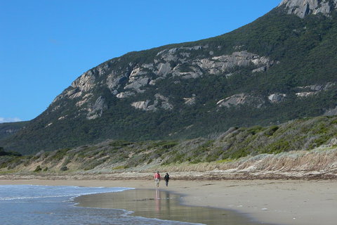 Mountain Seas Lodge - VIC Tourism 17