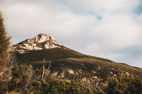 Mountain Seas Lodge - VIC Tourism 5