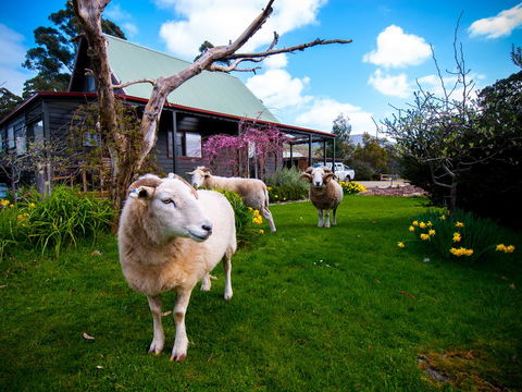 Parnella Adventure Bay, Bruny Island - VIC Tourism 19