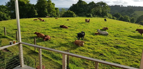 Seasons Of Maleny B&B - VIC Tourism 1