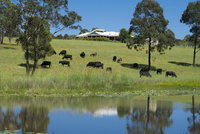 Book Nabiac Accommodation Vacations VIC Tourism VIC Tourism