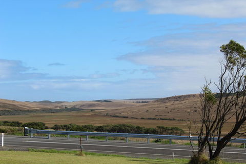 12 Apostles Cottages - VIC Tourism 3