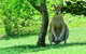 2 Bedroom Poinciana Lodge - thumb 1