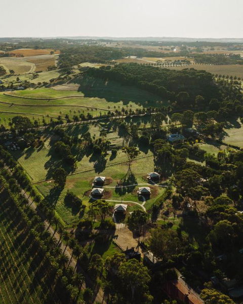 CANVS By CABN Seppeltsfield Barossa - VIC Tourism 1