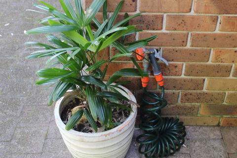 3 MELALEUCA - VIC Tourism 2