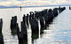 323 On Jetty - thumb 2