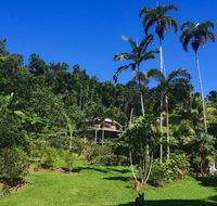 A Daintree Garden - VIC Tourism