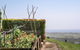 A PERFECT STAY - Pacific Ridge - thumb 2