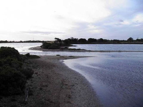 Absolute Waterfront - VIC Tourism 1
