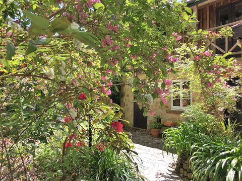 Adelaide Hills 'Camellia Cottage' - WiFi - VIC Tourism 2