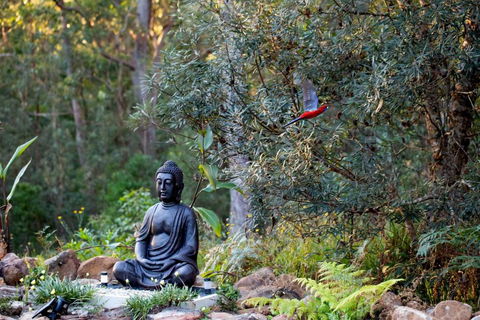 Dorrigo Bush Pepper Retreat - VIC Tourism 4
