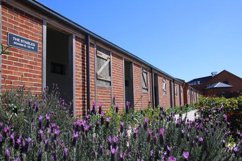 Dusty Hill Vineyard - Moffatdale - VIC Tourism 0