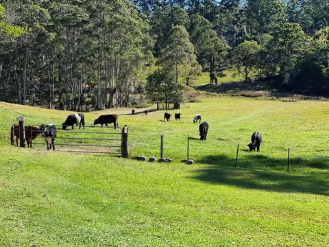 Fiery, Cozy Starry Nights - Farm Stay! - VIC Tourism 2