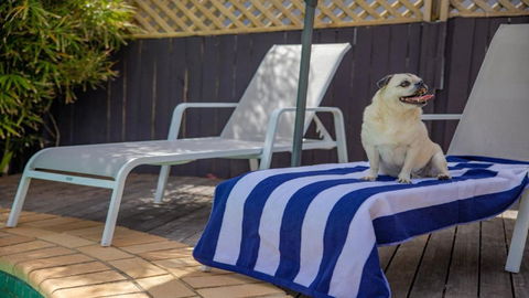 Fairways Beach House Sawtell - VIC Tourism 3
