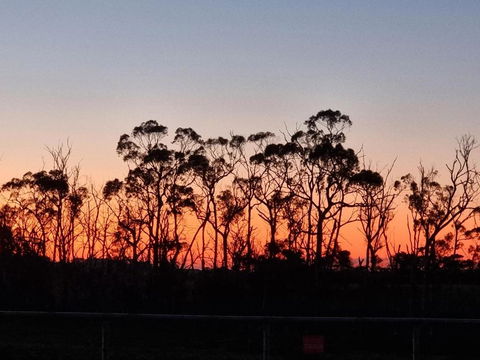 Farmstay@Morgans - VIC Tourism 0