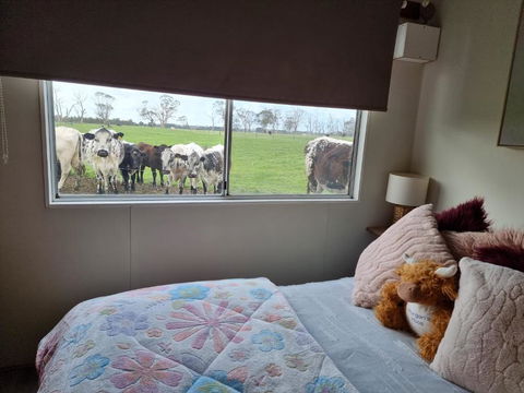 Farmstay@Morgans - VIC Tourism 3