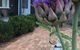 Fergusons Store - thumb 3