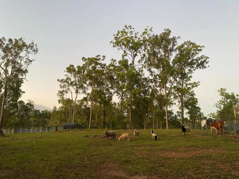 Gemmas Animal Farm By Tiny Away - VIC Tourism 1