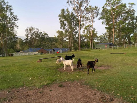 Gemmas Animal Farm By Tiny Away - VIC Tourism 2