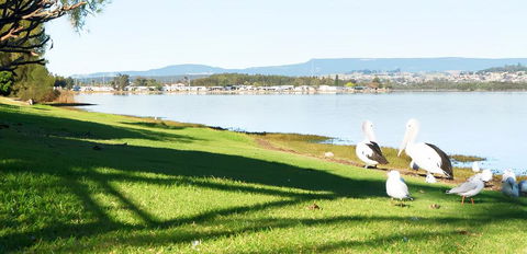 Golf Place Inn Wollongong - VIC Tourism 3