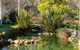 Goulburn River Lodge - thumb 3